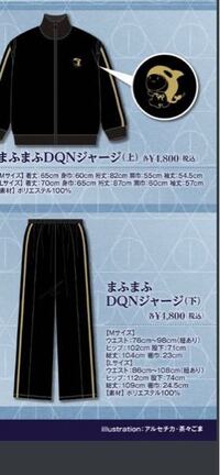 まふまふさんの現在販売しているグッズのdqnジャージlサイズを購入を考え Yahoo 知恵袋