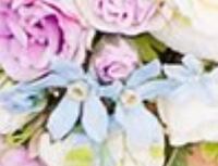 こちらの水色の花の名前をわかる方いらっしゃいませんか 大 Yahoo 知恵袋