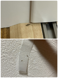 主人の会社の社長から 私 妻 宛に主人の昇進祝いの祝電が届きました Yahoo 知恵袋