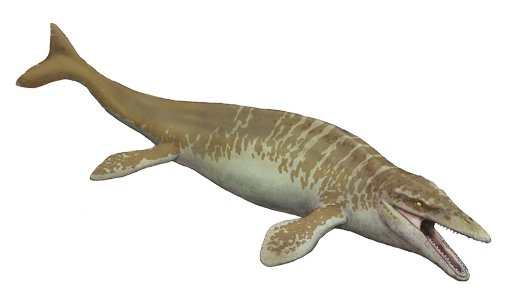 モササウルスなど海トカゲは、魚竜に似た姿をしていたのではと最近言われてますが、可能性は高いでしょうか？ 皆さんの予想を教えて欲しいです。(ある意味、海の食物連鎖の頂点という立ち場と見た目の雰囲気については魚竜の後継的な？特に三日月型の尾に注目)