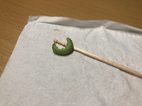 モンシロチョウの幼虫 青虫 を預かってくれと言われ 二日ほど育て Yahoo 知恵袋