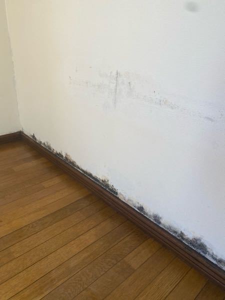 部屋の修繕についてなのですが どのようなところに頼んだらいいの Yahoo 知恵袋