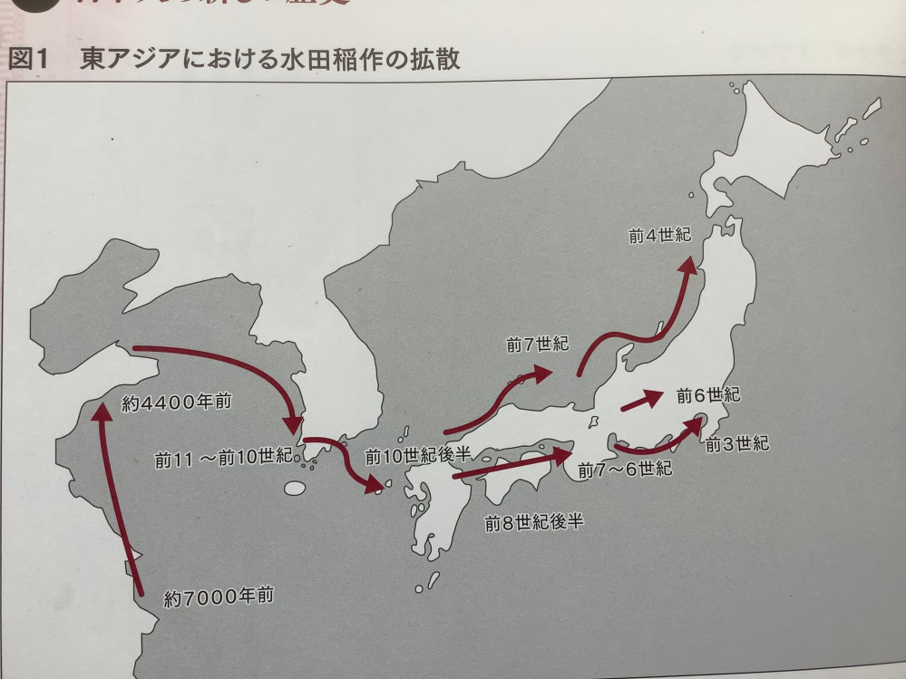 宝島社の Dnaでわかった日本人のルーツ によると稲作は約7000年前中 Yahoo 知恵袋