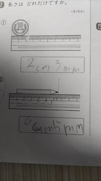 小学2年生の算数の問題について 最近長さの単位の勉強をしてるのですが定規 Yahoo 知恵袋