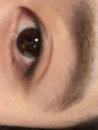 黒目がち 目が小さいですよね 写真あり 黒目が大きいよね と言われるの Yahoo 知恵袋