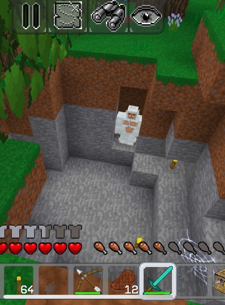 マイクラ初心者です 変な生き物 を見つけました 検索しても名前 Yahoo 知恵袋