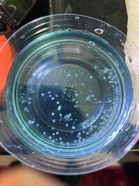 金魚が産んだ卵 生まれて一週間経ちます ヒーター ブクブク入れ Yahoo 知恵袋
