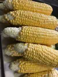 とうもろこしの先に実が入らなかった理由は 人工授粉を一度だけで終わ Yahoo 知恵袋