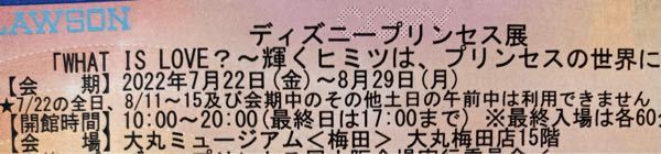 ディズニープリンセス展について、 今度大阪で開催されるディズニープリンセス展について、 チケット ★に書いてる注意書きのことですが、 この場合 7/22と8/11～8/15 の期間はこのチケットでは入場はできません という意味なのでしょうか？