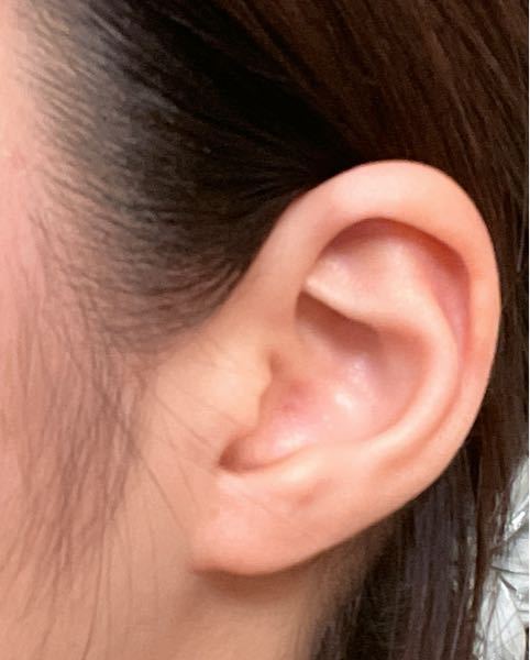 至急 この耳にインダストリアルは似合わないでしょうか。 それと、この耳に似合うピアスを教えてください 回答よろしくお願いします