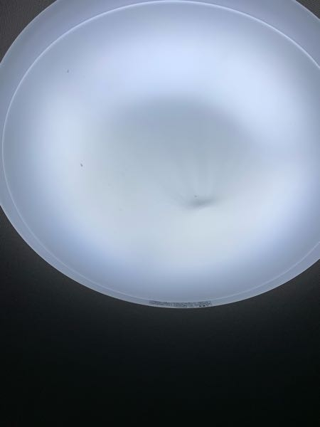助けてください 先程ふと上を見上げたらシーリングライト？天井の電気カバーの中に大きい影が見えました。これは虫だと思いますか？虫だとしたらなんですか？やつなんでしょうか？下から強めに叩いたのですが...