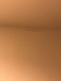 壁紙に薄い紫の斑点 壁紙に薄い紫ピンクみたいな斑点ができてい Yahoo 知恵袋