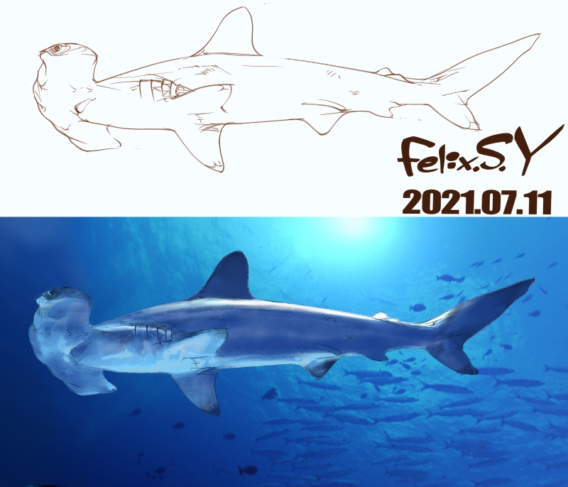 おはようごじゃいマッシュマロ アクアリウムカテのみなシャン Yahoo 知恵袋