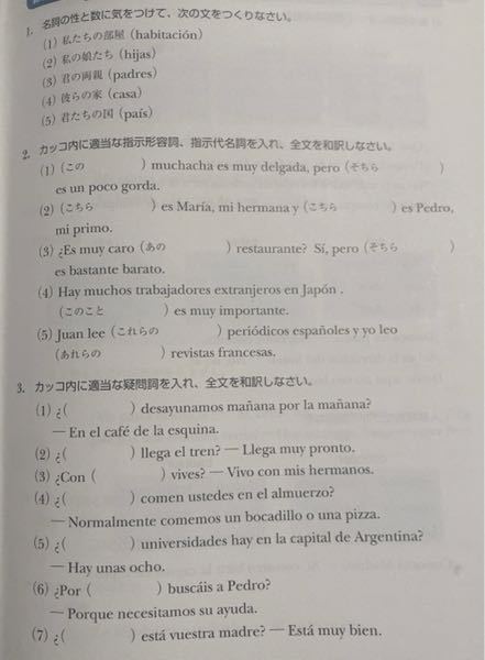 スペイン語の指示形容詞、指示代名詞、疑問詞の問題です。 解答がなくて答え合わせができないので、分かる方教えてください！ もし可能であれば、訳や解説等もつけてくれると嬉しいです！