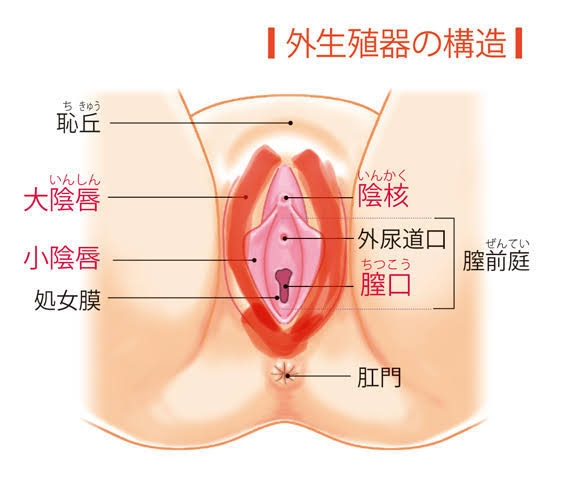 赤いマーカーで色つけてるところが痒くて赤くなってしまっています Yahoo 知恵袋