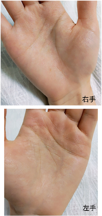 手相占いできる方お願いします 代 性格 仕事 健康 金運 Yahoo 知恵袋