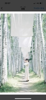 美瑛の白樺並木で、 この写真の場所わかる方いますか？ 白い布が上にあるところです。