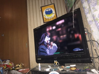 Dsポケモンダイヤモンドパールでシェイミのフォルムチェンジ 子 Yahoo 知恵袋