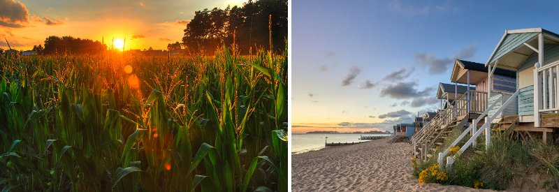 スネ夫が歌う おぼっちゃマンボ という曲のフルで載っているサイトってありませ Yahoo 知恵袋