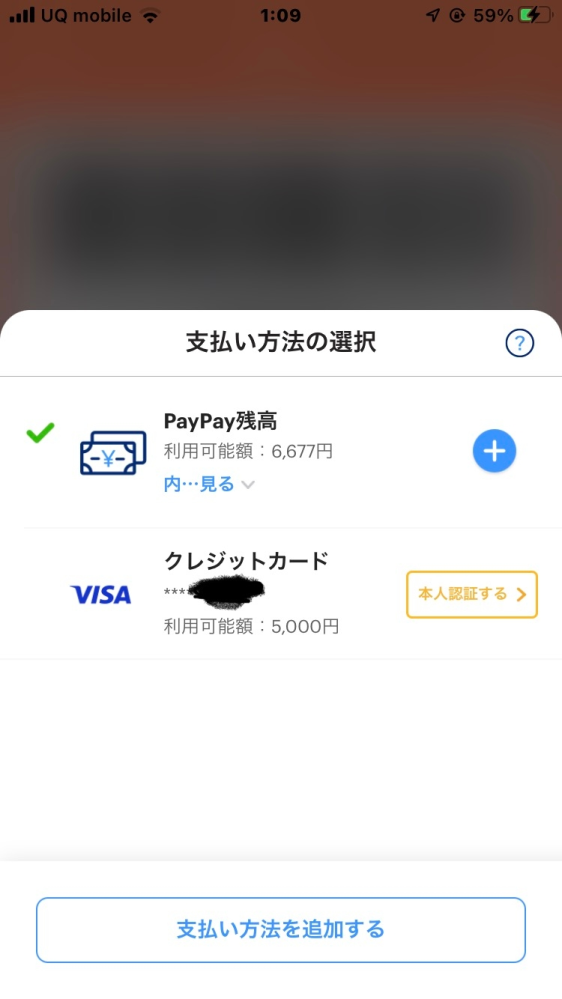 マイナポイント第2弾のイベントで15000円がPayPayに付与されたのですか、そのあと、VISAカードを登録すると、利用可能額5000円と表示されました これって使えるのですか？