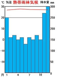 熱帯雨林気候で 夏の降水量が他の月と比べると下がるのはなぜです Yahoo 知恵袋