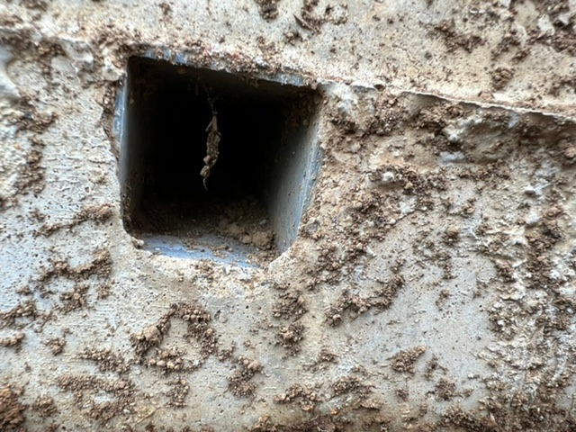 シーサンドコートというのはどの様なものでしょうか エスケー化研の商品らしい Yahoo 知恵袋