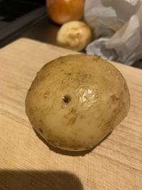 至急 これはじゃがいもの芽 貰ったじゃがいもを料理しようとしたらでこぼこ Yahoo 知恵袋