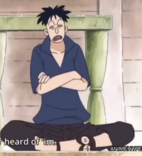 アニメワンピースワノ国編で不死鳥マルコが登場する回を全て教えてください Yahoo 知恵袋