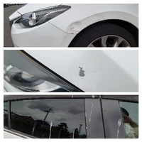 洗車した翌日には必ずと言っていいほど鳥に糞を落とされるのはなぜでし Yahoo 知恵袋