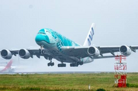 10月ぐらいにハワイへ行く予定なんですがANAのA380フライングホヌ(エコノミークラス)に搭乗しようと思います。
ANAのハワイ路線は片道・往復で何万円くらいですか？ 