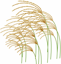 ススキを見て食べたいスイーツはなんですか 月見団子と雪見 Yahoo 知恵袋