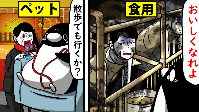 デジモンアドベンチャーで エンジェウーモンが仮面を取って素顔を見せたら ヒカ Yahoo 知恵袋