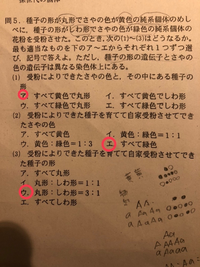 中3理科生物の問題です 答えに解説が載ってなくて理解できません Yahoo 知恵袋