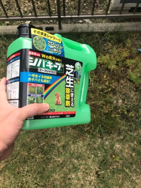 ブルーベリーについて 写真のようにシュート サッカーと言うの Yahoo 知恵袋