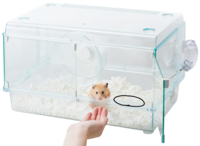 一度土葬したハムスターを掘り返すのはいけないことでしょうか 本日 朝六時頃 Yahoo 知恵袋