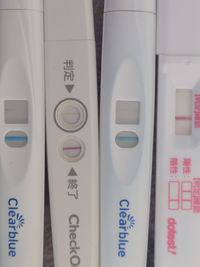 高温期11日目クリアブルー 12日目チェックワン 13日目クリア 教えて しごとの先生 Yahoo しごとカタログ