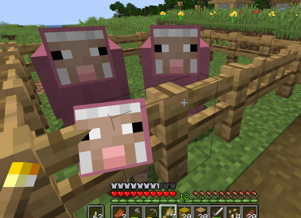 久々にマイクラしたのですが、野生のピンク羊を二匹見つけました