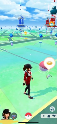 ポケモンgoです このちっちゃいポケモン みたいなのは何でしょうか Yahoo 知恵袋