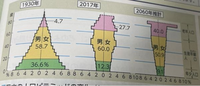 この人口ピラミッドを見てこれから日本はどうなると思いますか？
私は高齢者が増え子供が減っていくるので高齢者中心の生活になっていくと思います
皆さんのご意見お聞きしたいです 