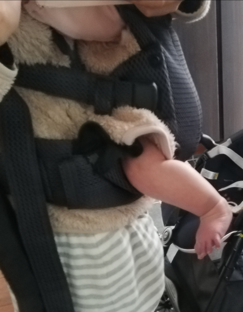 抱っこ紐、ベビービョルンのハーモニーを使っています。半年の子で 