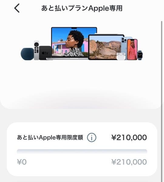 ペイディにてApple専用枠が通り、購入しようとしましたが、 - Yahoo