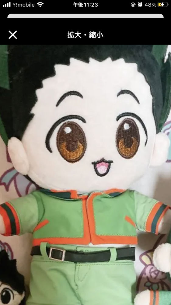 ハンターハンターのグッズについて質問です。写真のような公式では無さそうなぬいぐるみは持ってたら恥ずかしいでしょうか。 可愛いなとは思うのですが買うのに少しためらいます。持ち出すことはなく家の中に飾ろうとは思っています。意見を聞かせていただければ幸いです。