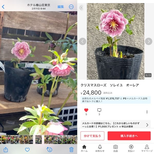 クリスマスローズさん出来ました専用ページです。他の方は購入しないで下さい。 クリスマスローズさんの仕上がりました専用ページです。他の方は