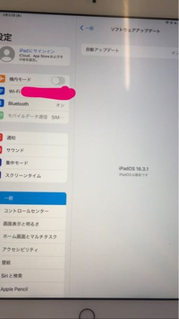 教えてくださいiPad6世代無印simロック解除してるか確認したいのですが