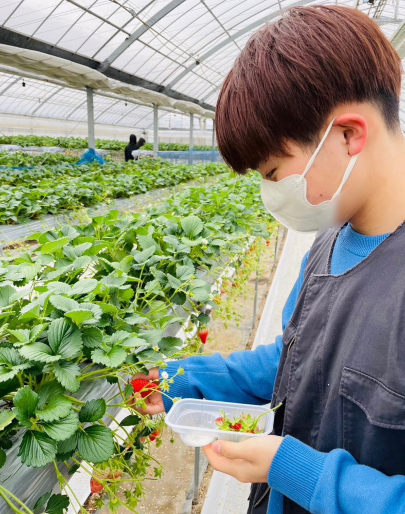 私の彼氏は花粉症でもないのに未だにマスクをつけています。これを理由に別れても良いですか？