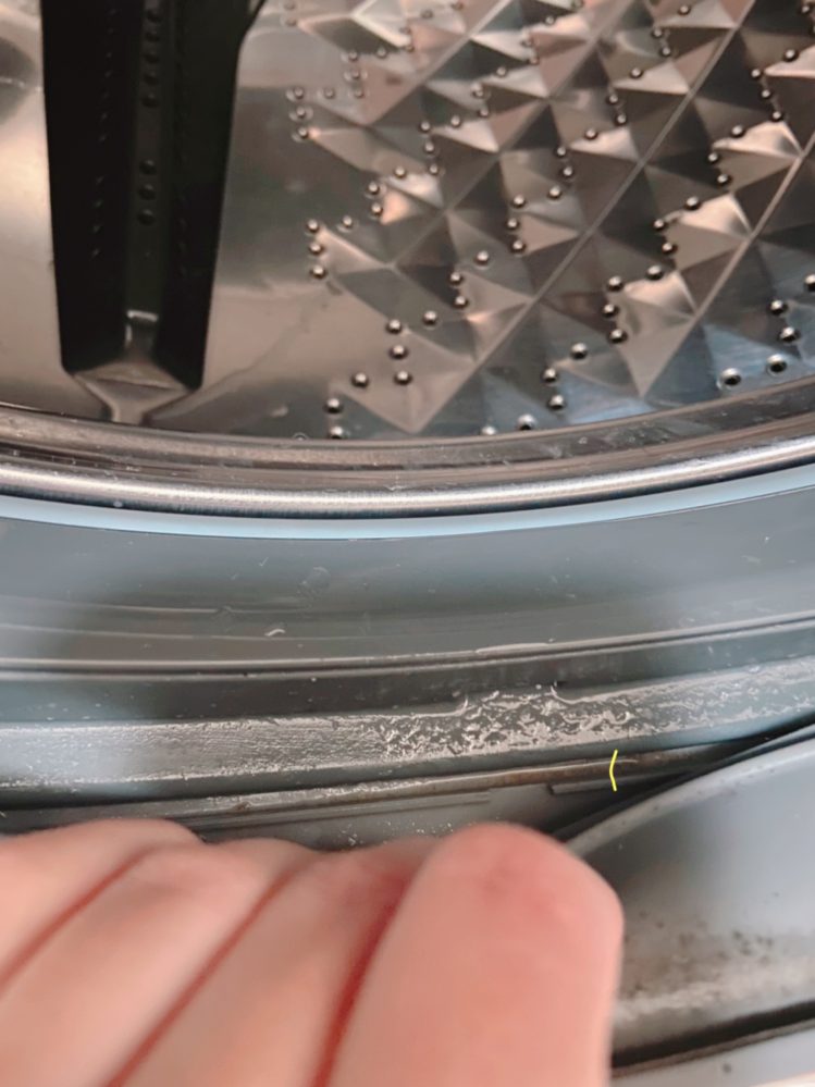 ドラム式洗濯機に詳しい人いませんか。このようにパッキン間に隙間が