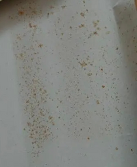 ポスターの裏面に変な汚れがついてるのですが、どうやったら取れま  