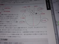 動脈に弁は無いと習ったのですが、生物基礎の弁を心臓に書き込む問題で、肺静脈と大動脈に弁らしきものが書かれているのですが、これは弁では無いのですか？ 