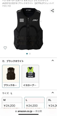 登場! アル様専用ＪＥＴＰＩＲＯＴライフジャケットLサイズ