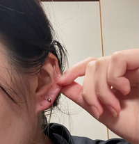 ピアスの2連目を開けました。位置が若干下すぎたかなと思うの